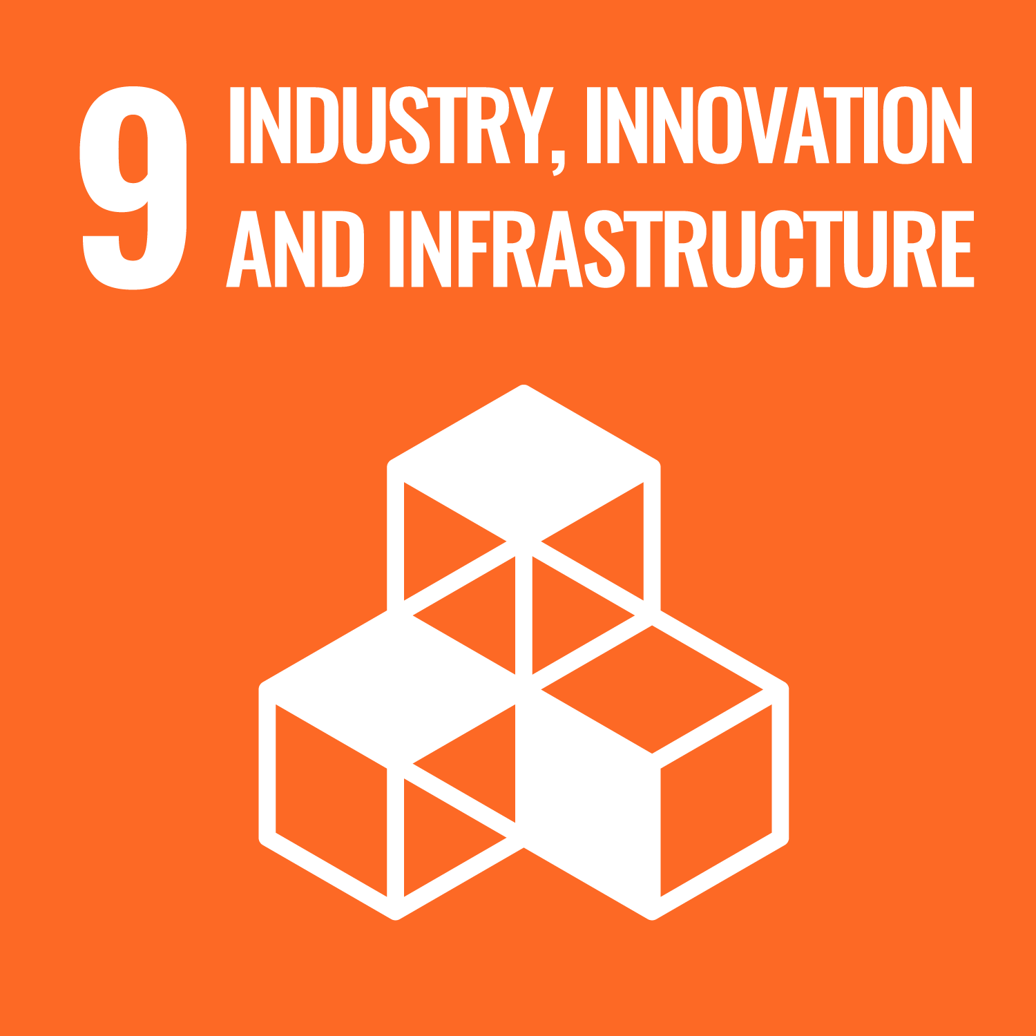 United National Sustainable Development Goals logo for 9