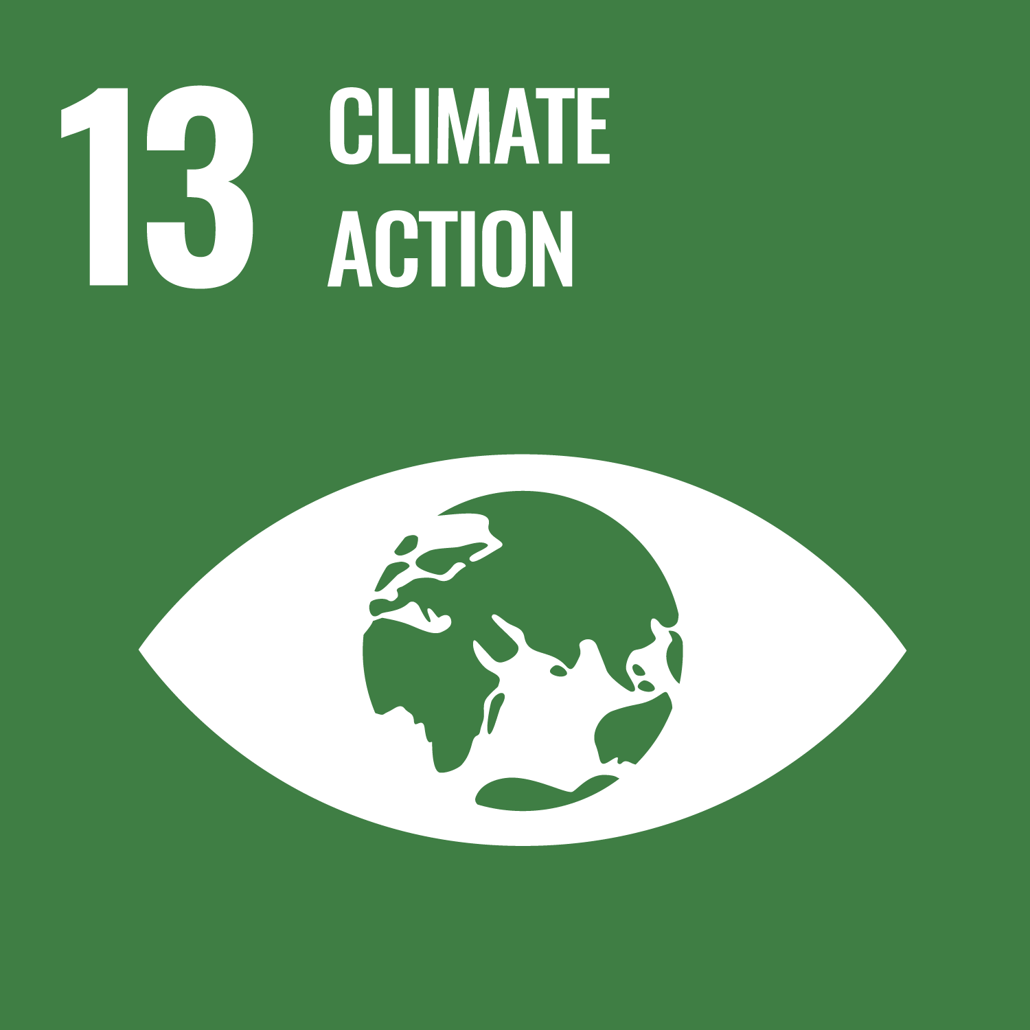 United National Sustainable Development Goal logo for 13