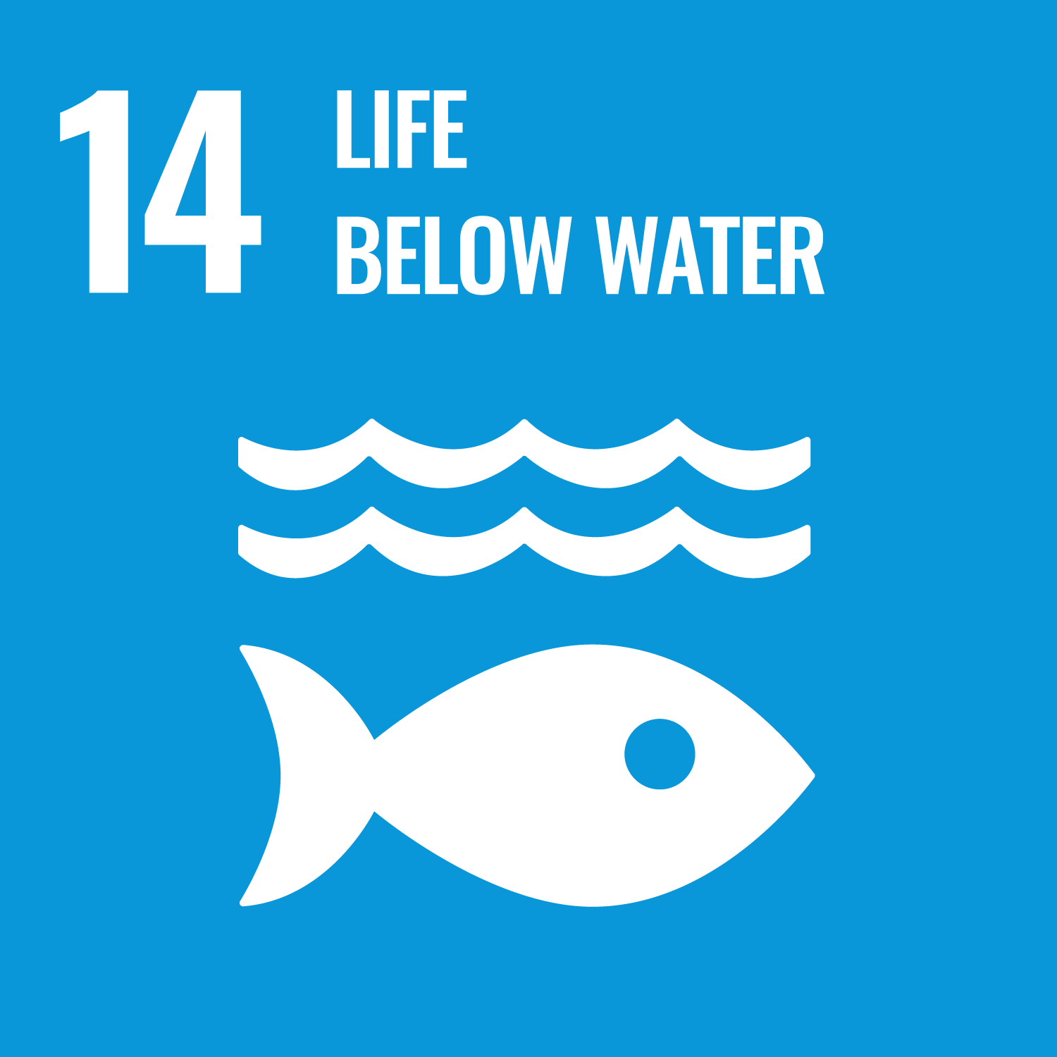 United National Sustainable Development Goal logo for 14