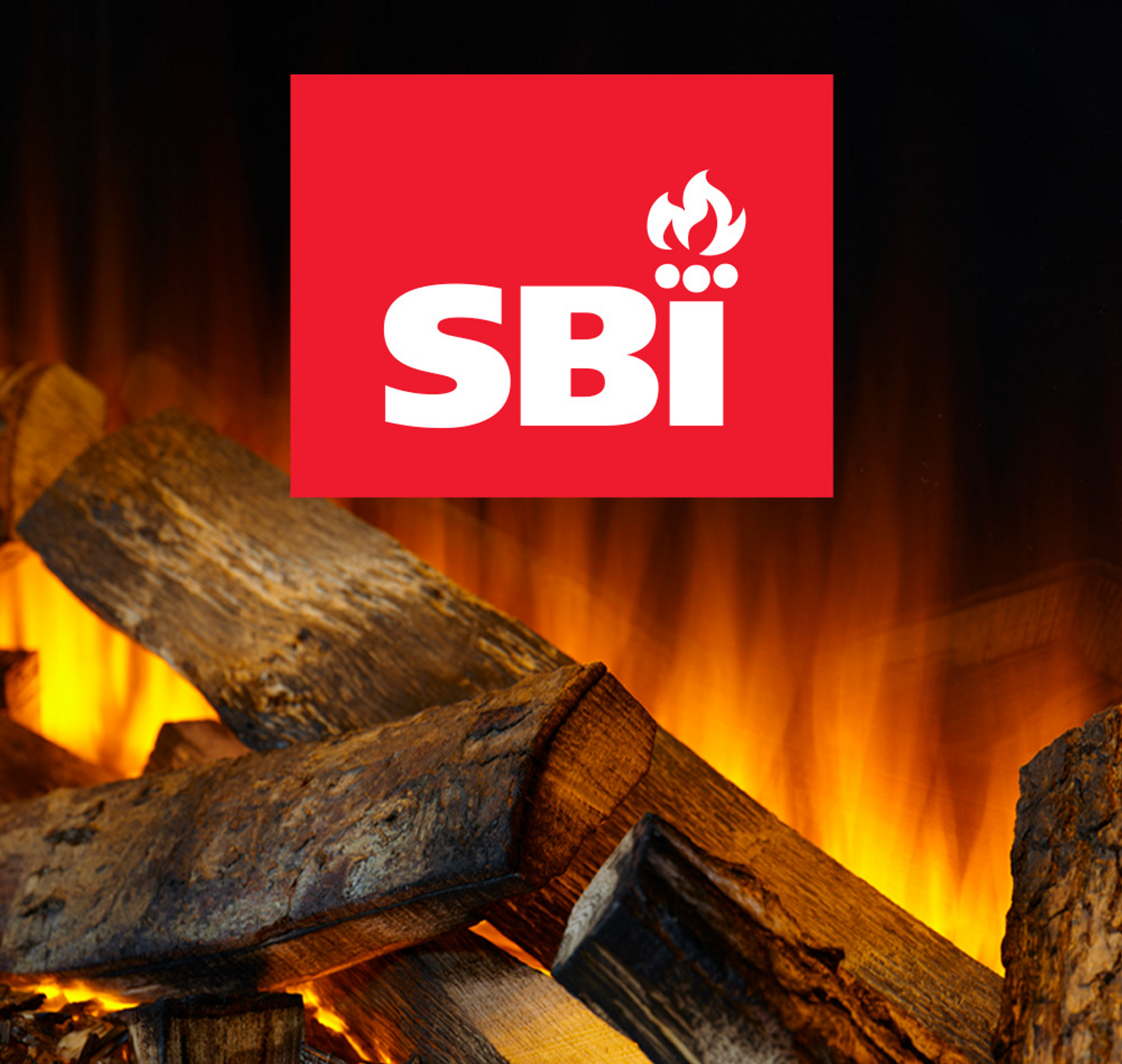 SBI LOGO LOGS 