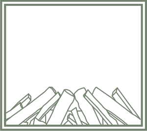 British Fires New Forest 650 Inset Electric Fire