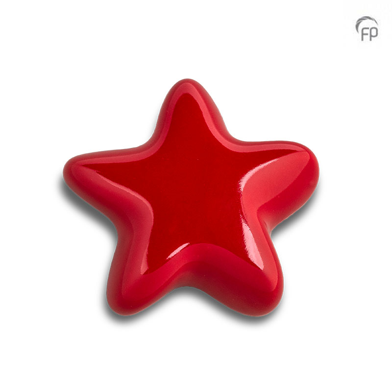 FPU 065 Ceramic art urn keepsake Asteri