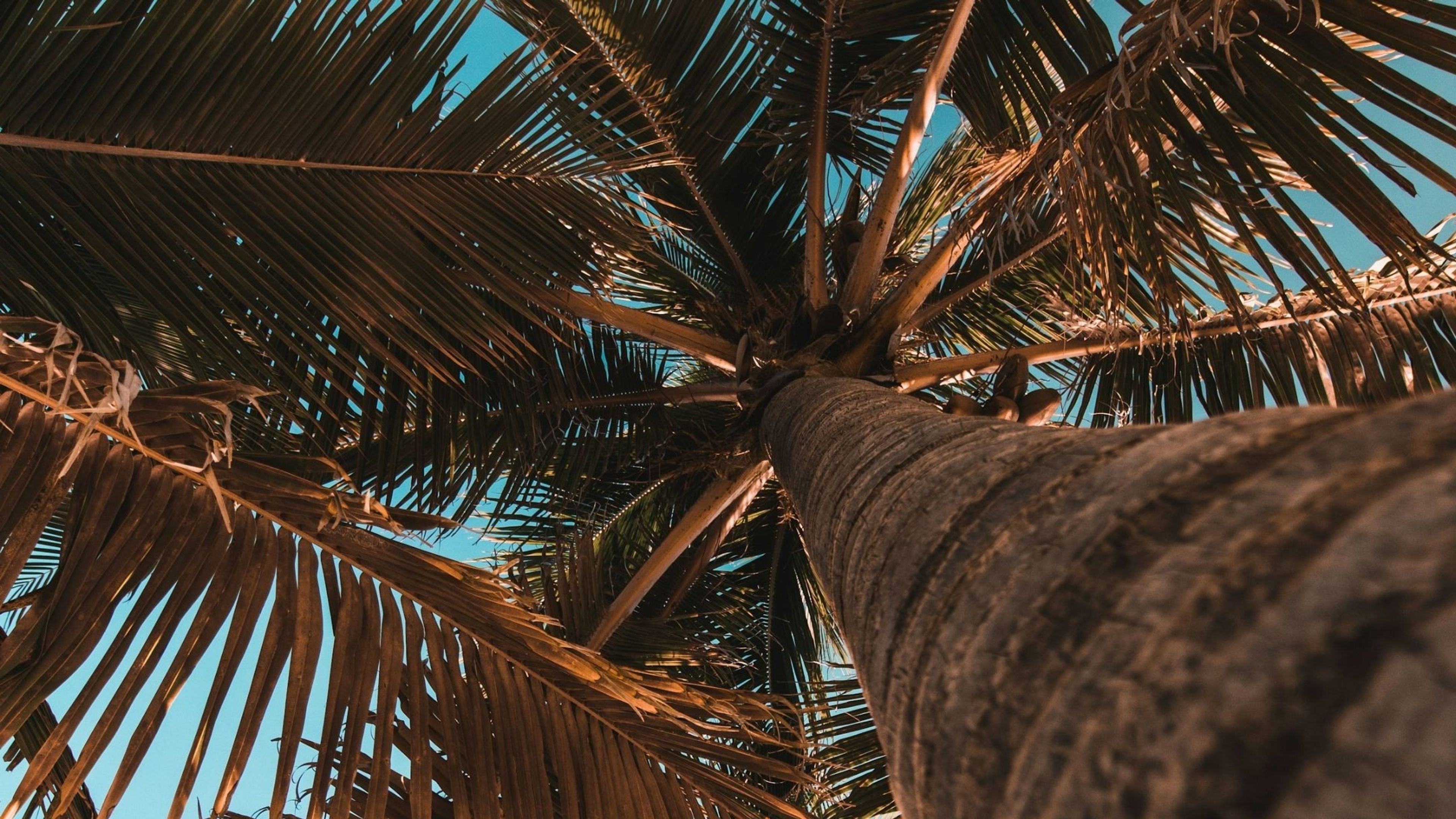 blog-hero-background