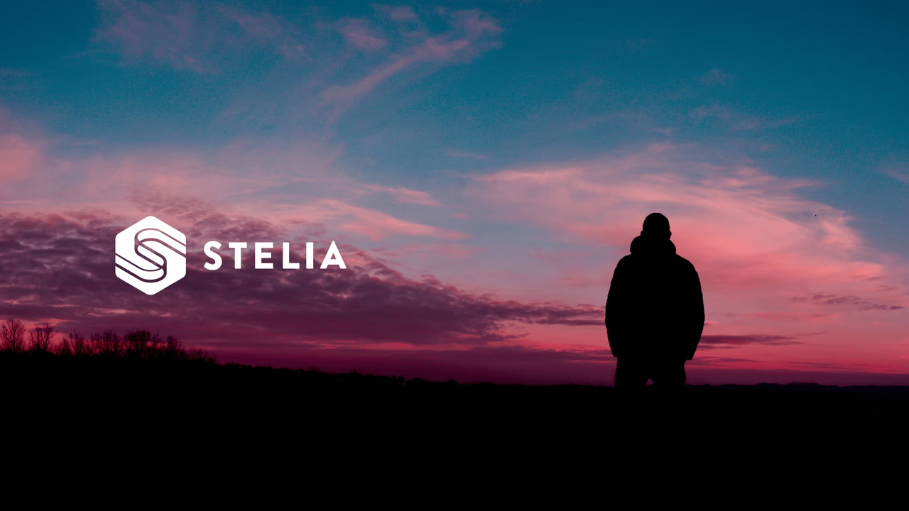 man looking out to the evening sky, with the Stelia logo